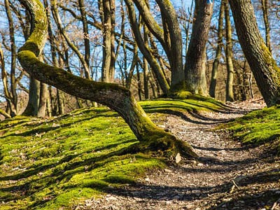 想买免费轰炸网页版